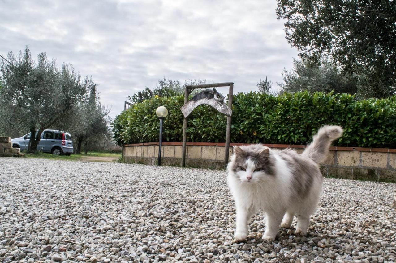 Country House Maremma Nel Tufo Pitigliano Exterior foto